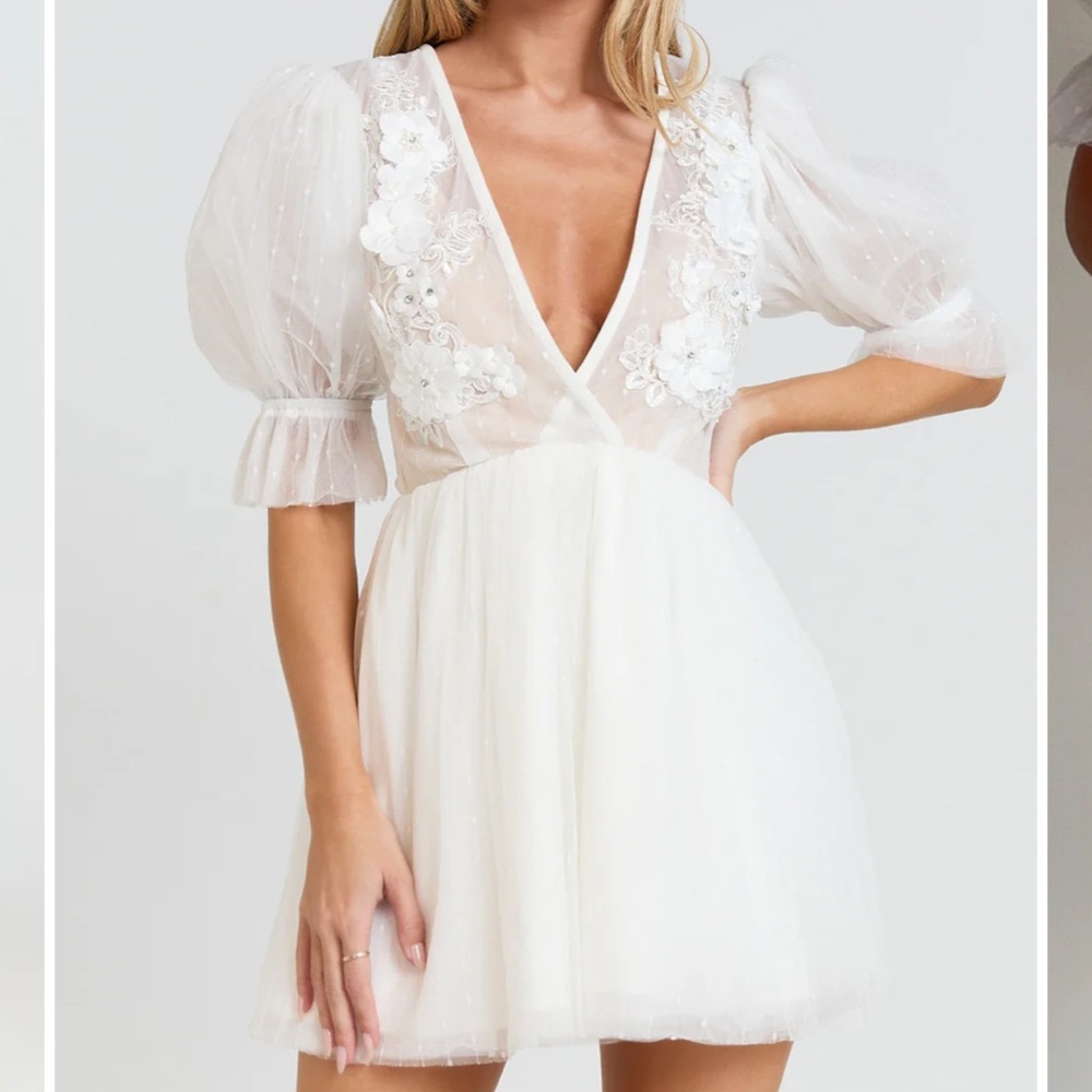 Showpo Ashika Mini Dress